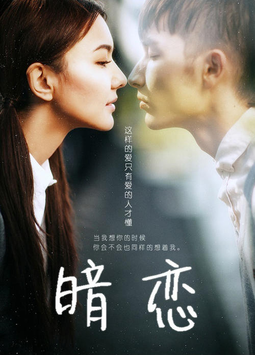 怎么办假喀麦隆驾驶证
